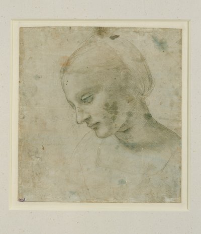 おおよそのプロファイルの女性の頭の研究 作： Leonardo da Vinci